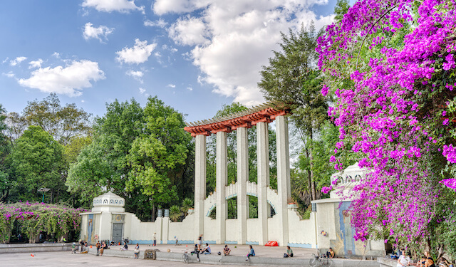 Naya Homes | La Mejor Guía de La Condesa Ciudad de México