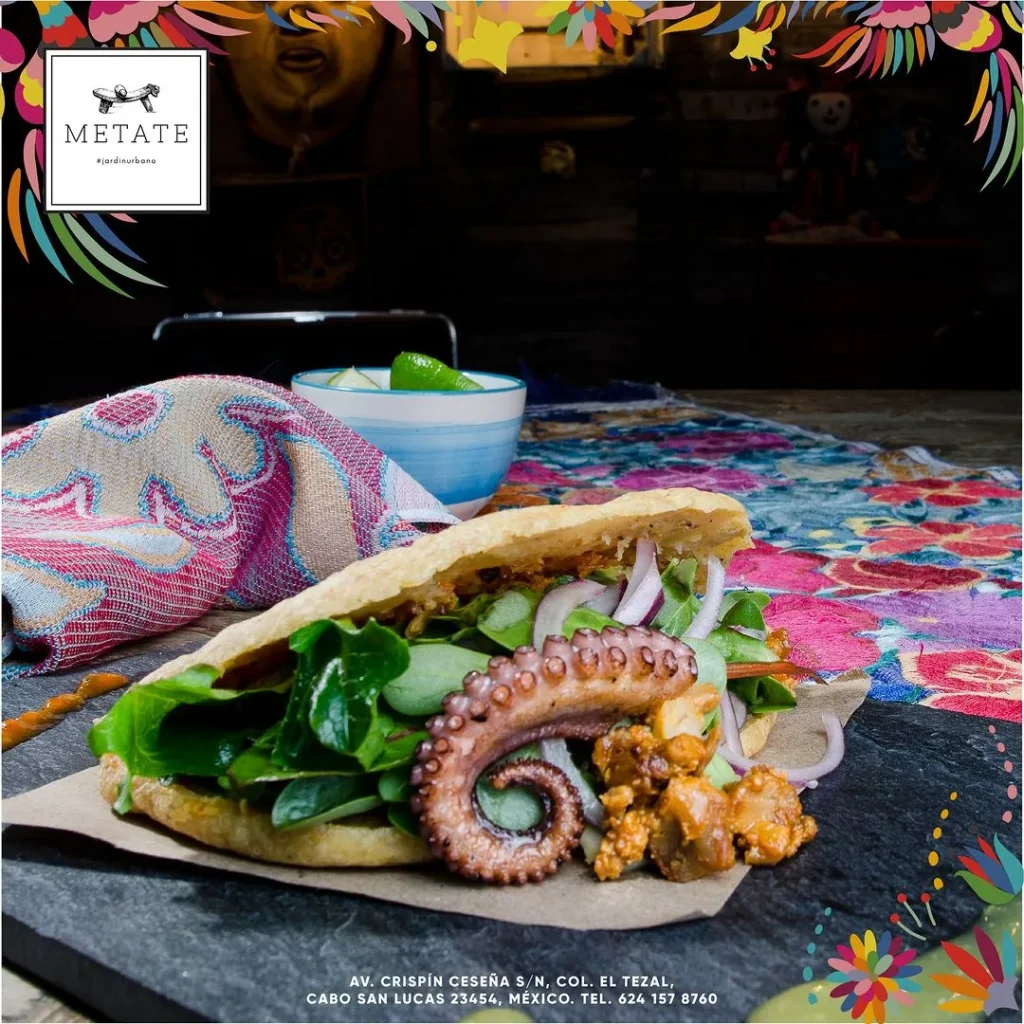 best restaurants in cabo san lucas	